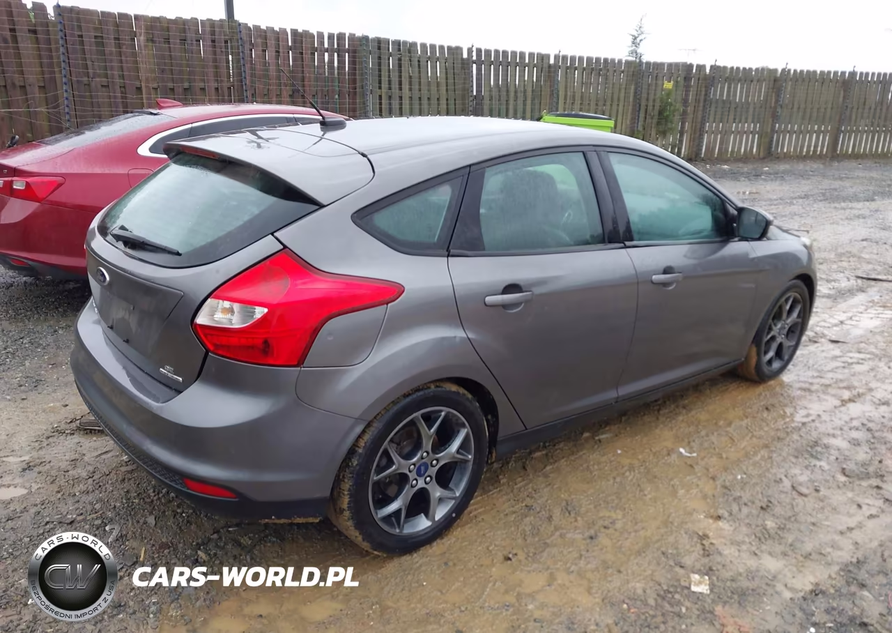 2014 Ford Focus Se VIN:1FADP3K26EL324921 - 4