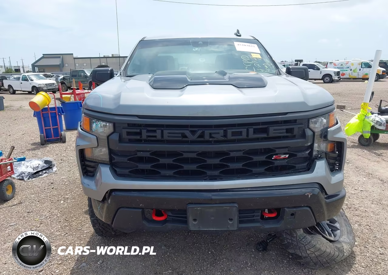 2024 Chevrolet Silverado 1500 4Wd Short Bed Custom Trail Boss VIN:3GCUDCED8RG376893 - 13