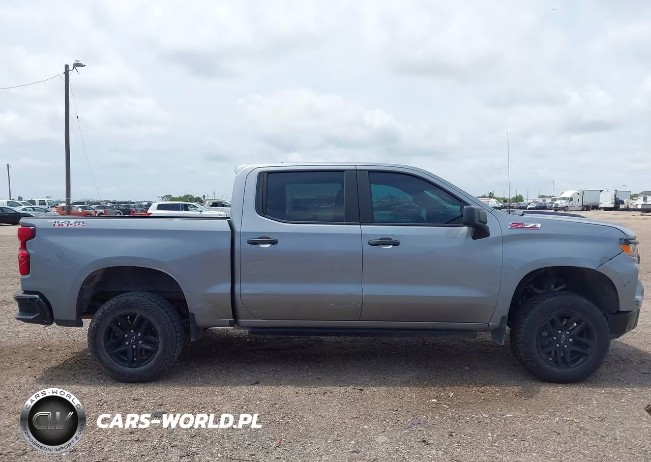 2024 Chevrolet Silverado 1500 4Wd Short Bed Custom Trail Boss VIN:3GCUDCED8RG376893 - 14