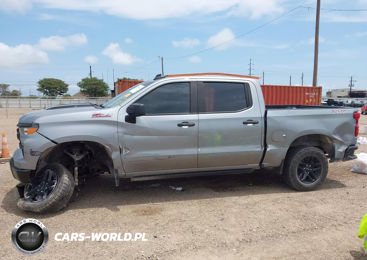 2024 Chevrolet Silverado 1500 4Wd Short Bed Custom Trail Boss VIN:3GCUDCED8RG376893 - 15