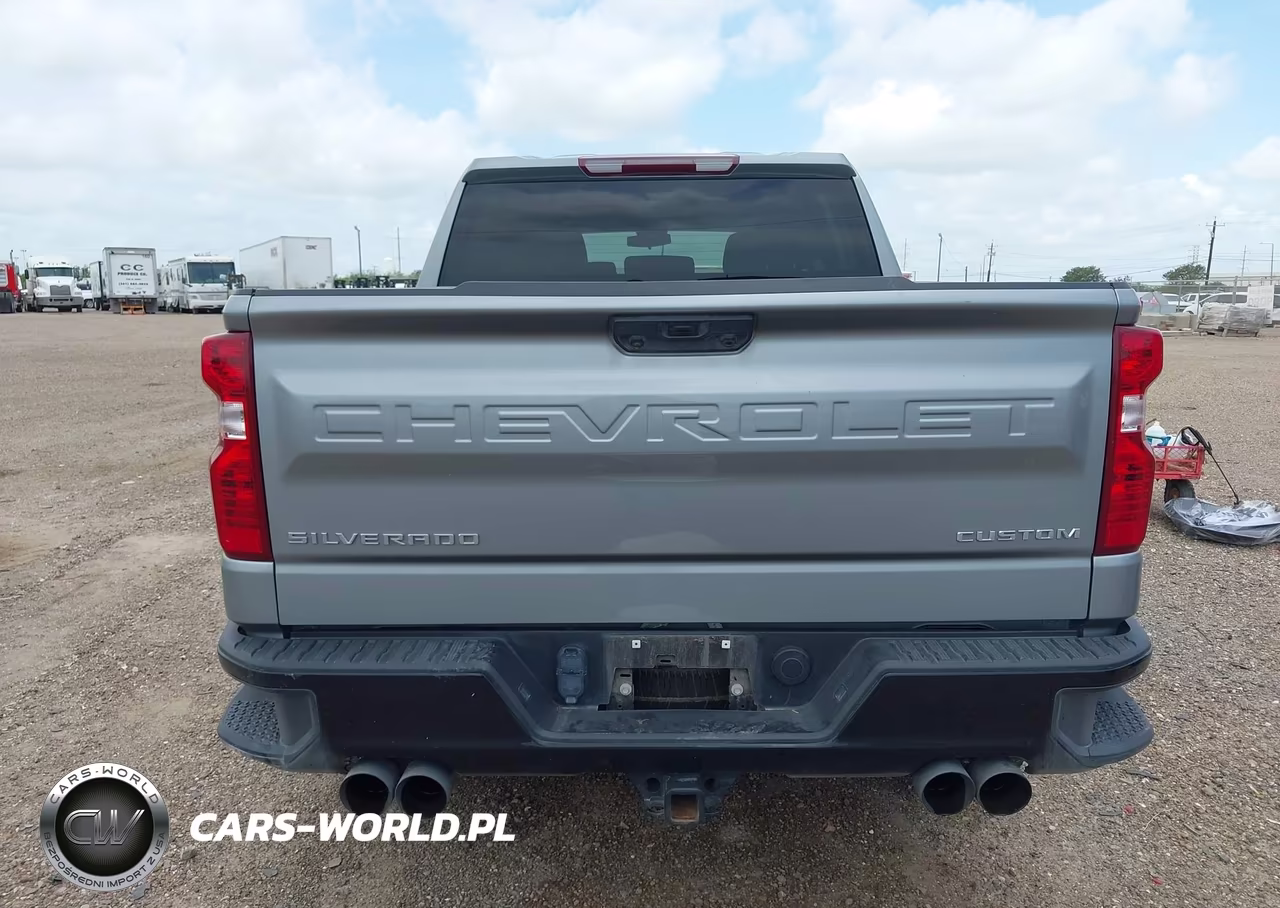 2024 Chevrolet Silverado 1500 4Wd Short Bed Custom Trail Boss VIN:3GCUDCED8RG376893 - 17