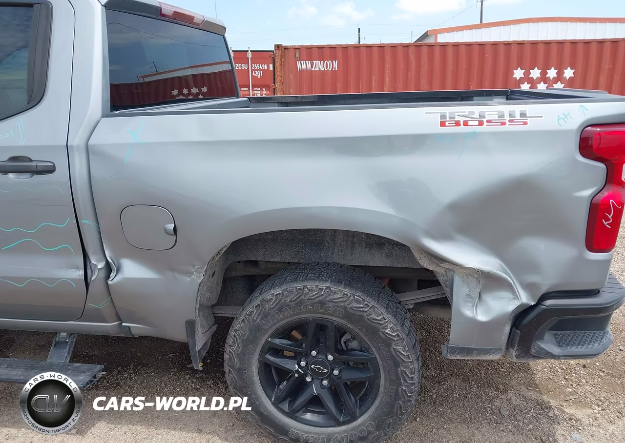 2024 Chevrolet Silverado 1500 4Wd Short Bed Custom Trail Boss VIN:3GCUDCED8RG376893 - 19