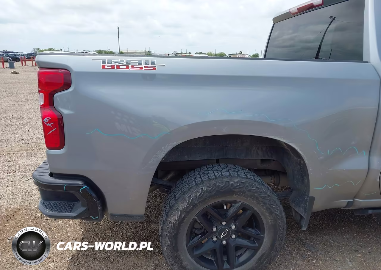 2024 Chevrolet Silverado 1500 4Wd Short Bed Custom Trail Boss VIN:3GCUDCED8RG376893 - 20