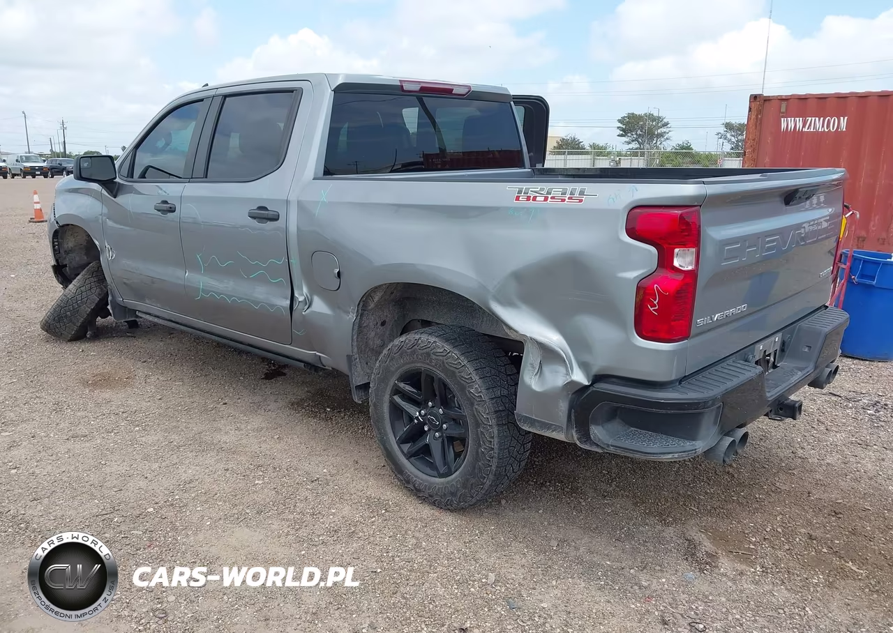 2024 Chevrolet Silverado 1500 4Wd Short Bed Custom Trail Boss VIN:3GCUDCED8RG376893 - 3