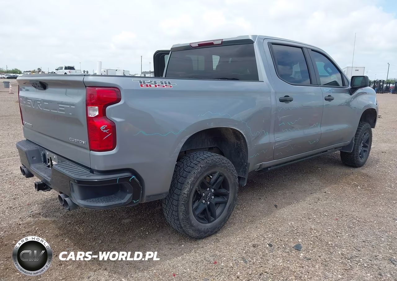 2024 Chevrolet Silverado 1500 4Wd Short Bed Custom Trail Boss VIN:3GCUDCED8RG376893 - 4