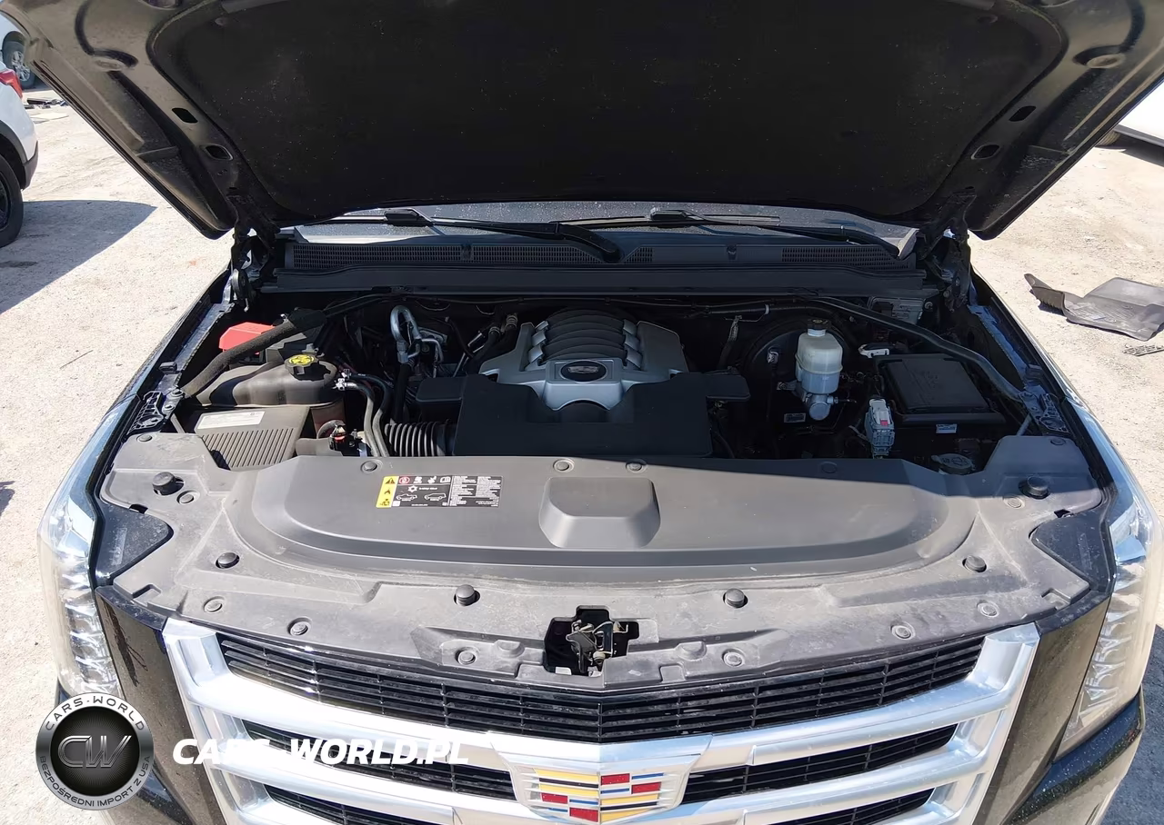 2019 Cadillac Escalade Esv Luxury VIN:1GYS4HKJ3KR125391 - 10