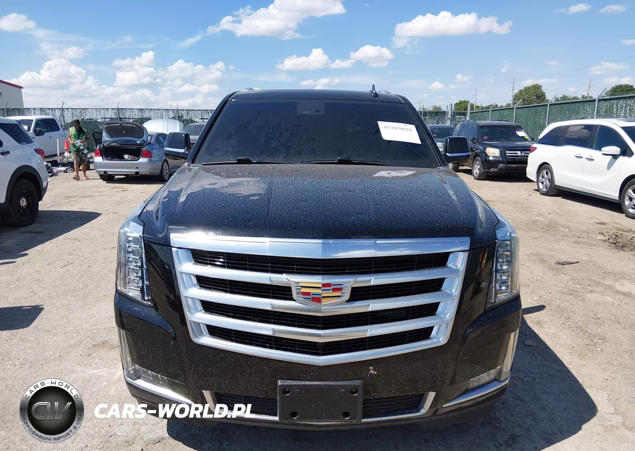 2019 Cadillac Escalade Esv Luxury VIN:1GYS4HKJ3KR125391 - 12