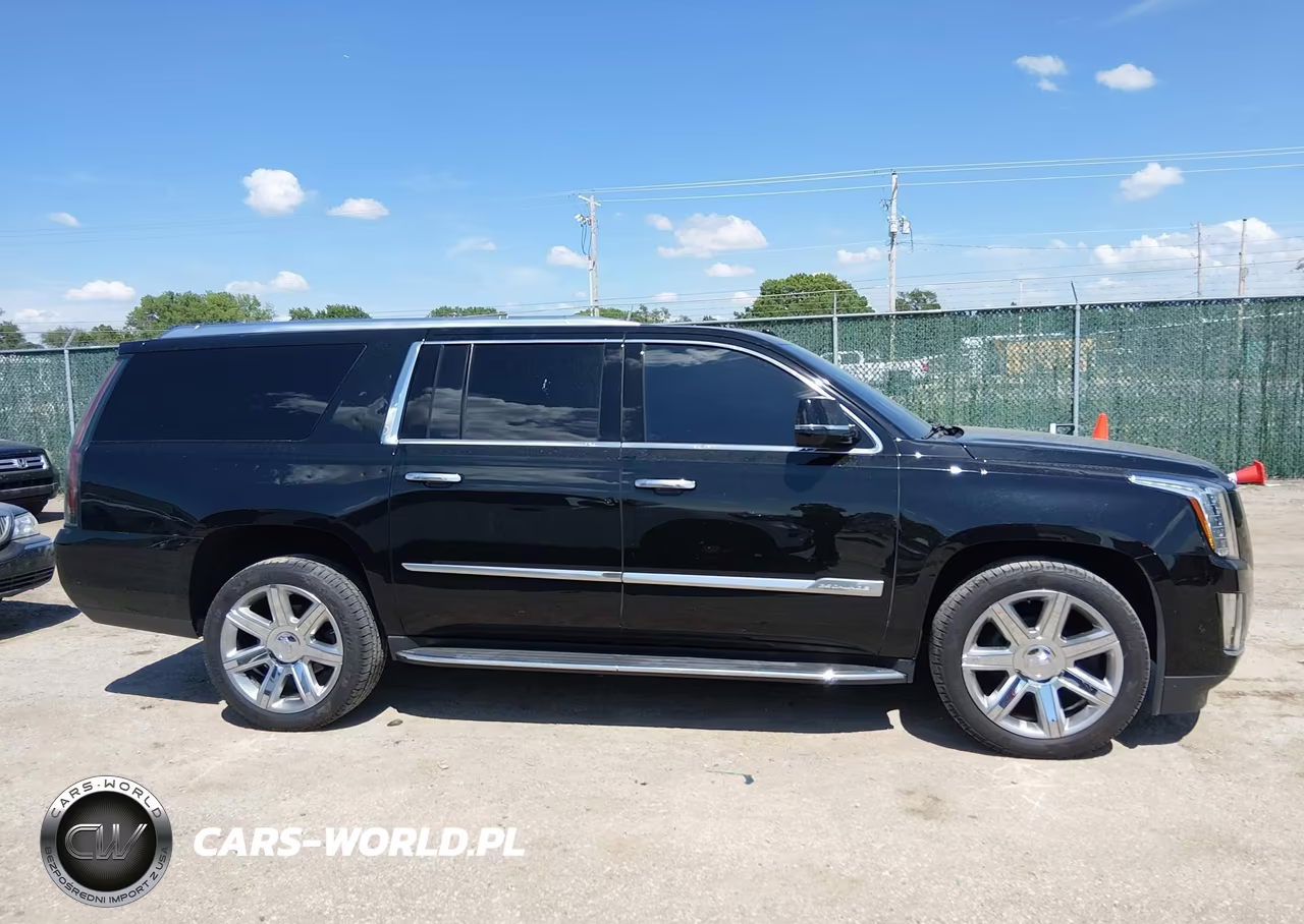 2019 Cadillac Escalade Esv Luxury VIN:1GYS4HKJ3KR125391 - 13