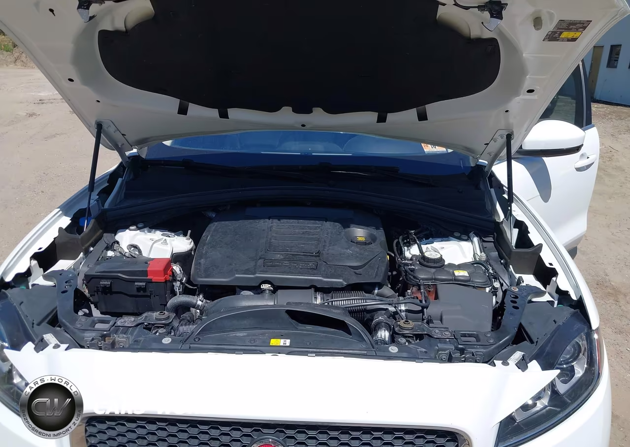 2019 Jaguar F-Pace 25T Prestige-30T Prestige VIN:SADCK2GX1KA392865 - 10