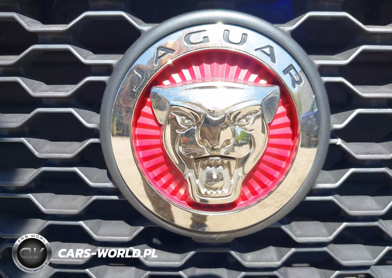 2019 Jaguar F-Pace 25T Prestige-30T Prestige VIN:SADCK2GX1KA392865 - 6