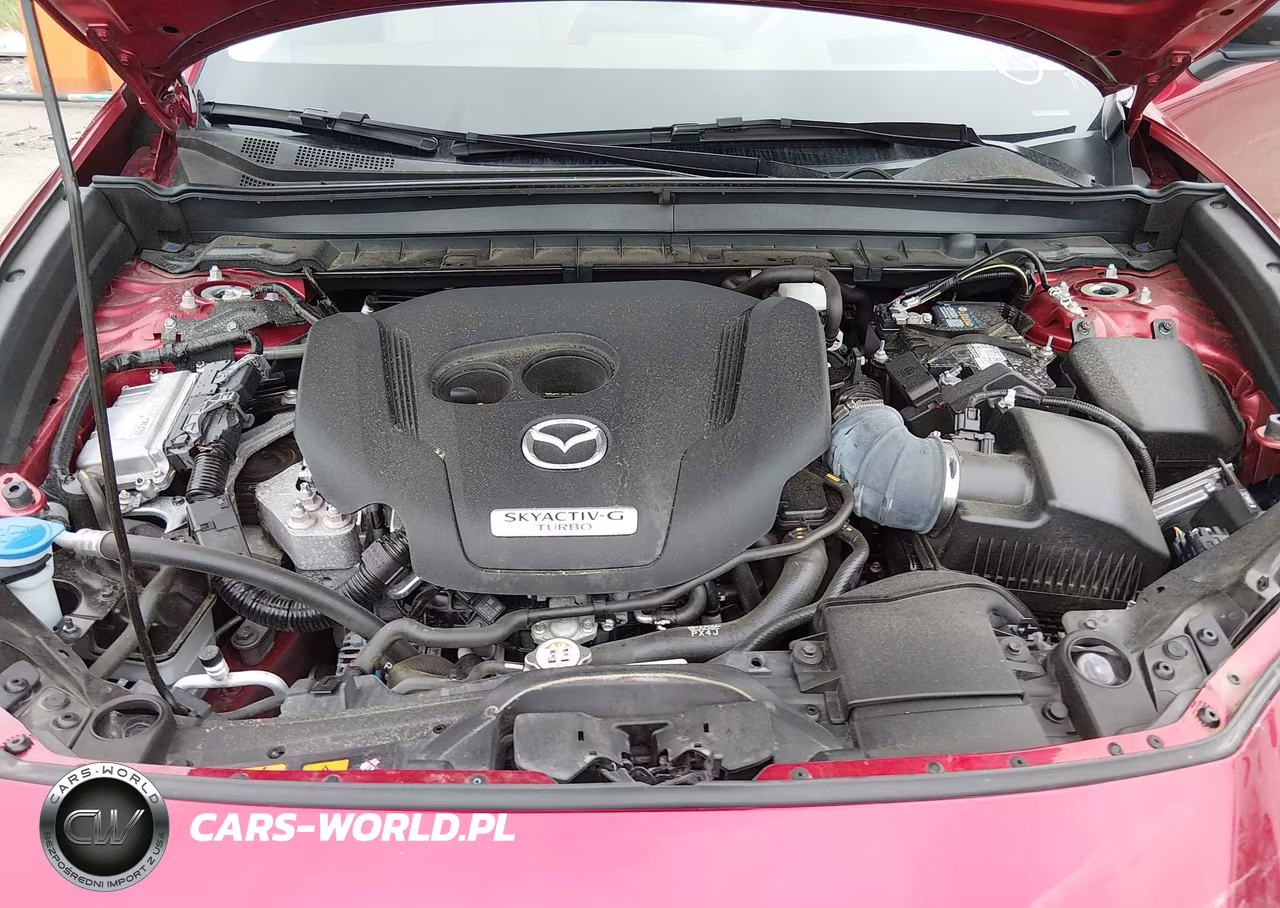 2023 Mazda Cx-30 2.5 Turbo Premium Plus VIN:3MVDMBEY2PM501221 - 10