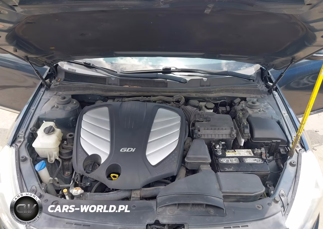 2014 Kia Cadenza Premium VIN:KNALN4D71E5165687 - 10