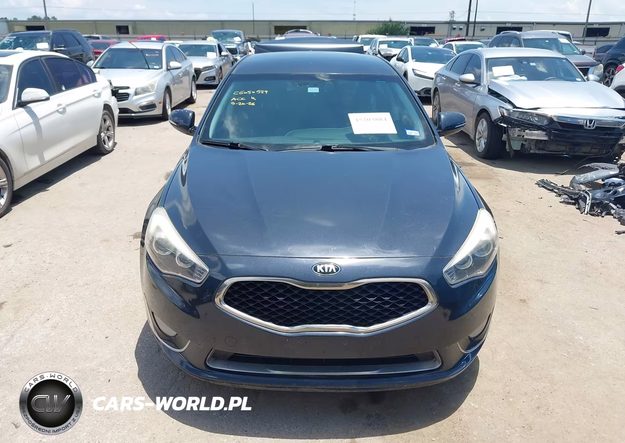 2014 Kia Cadenza Premium VIN:KNALN4D71E5165687 - 12
