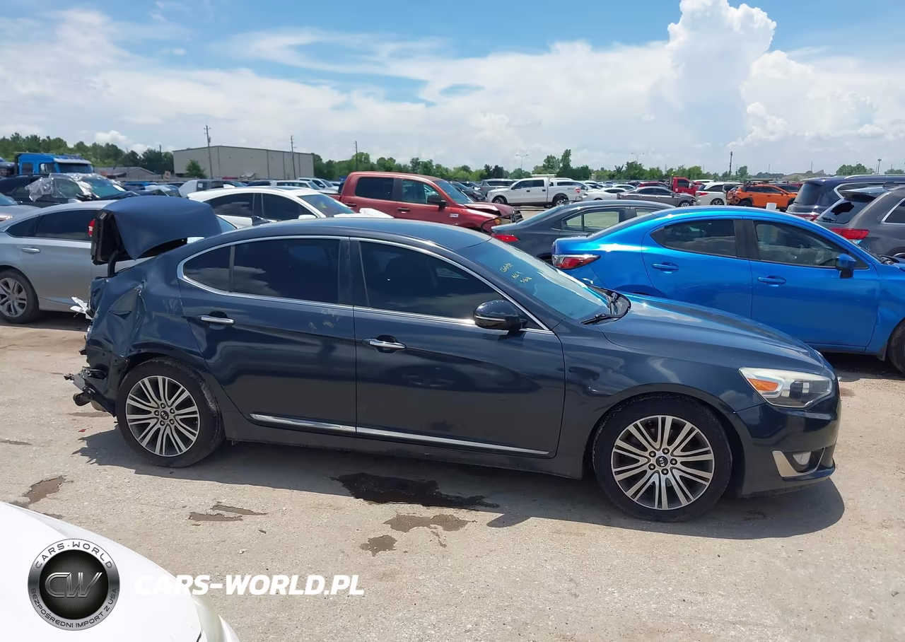 2014 Kia Cadenza Premium VIN:KNALN4D71E5165687 - 13