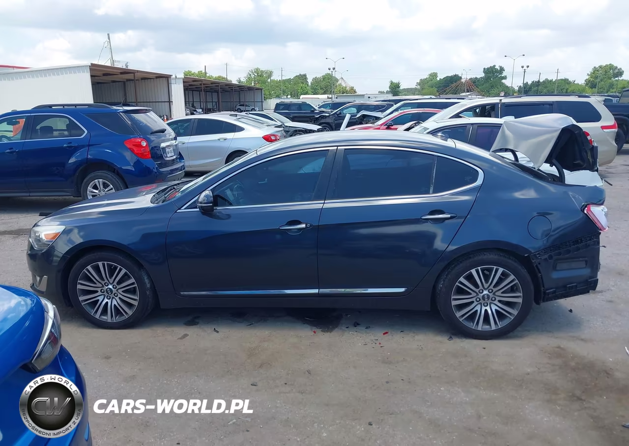 2014 Kia Cadenza Premium VIN:KNALN4D71E5165687 - 14