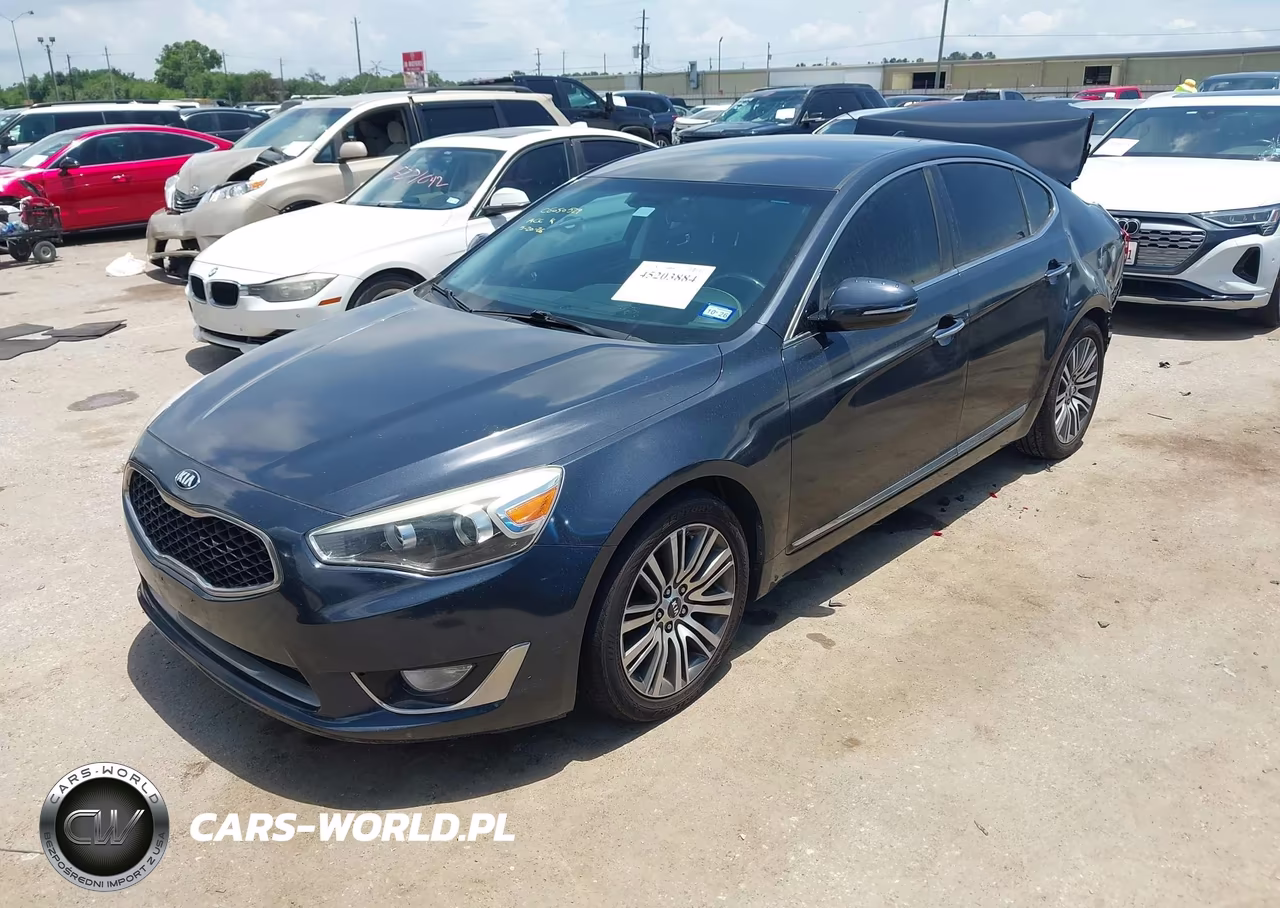 2014 Kia Cadenza Premium VIN:KNALN4D71E5165687 - 2
