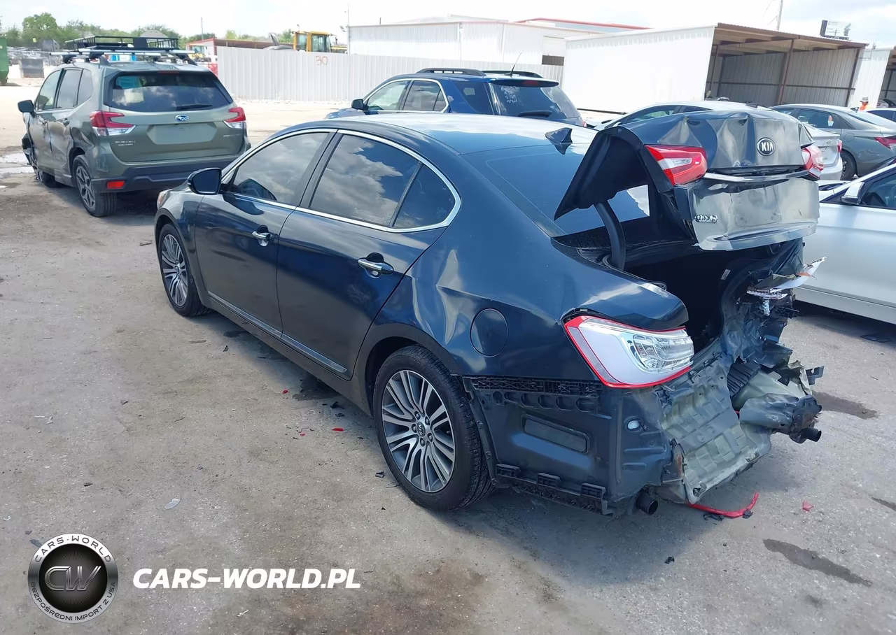 2014 Kia Cadenza Premium VIN:KNALN4D71E5165687 - 3