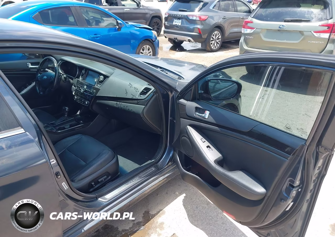 2014 Kia Cadenza Premium VIN:KNALN4D71E5165687 - 5