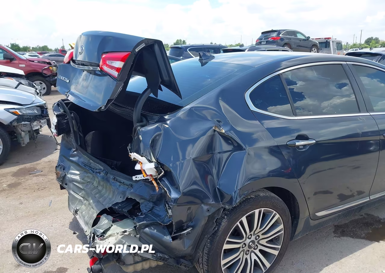 2014 Kia Cadenza Premium VIN:KNALN4D71E5165687 - 6