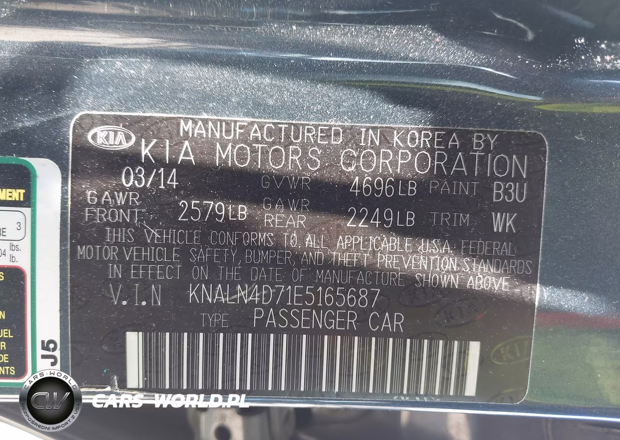 2014 Kia Cadenza Premium VIN:KNALN4D71E5165687 - 9