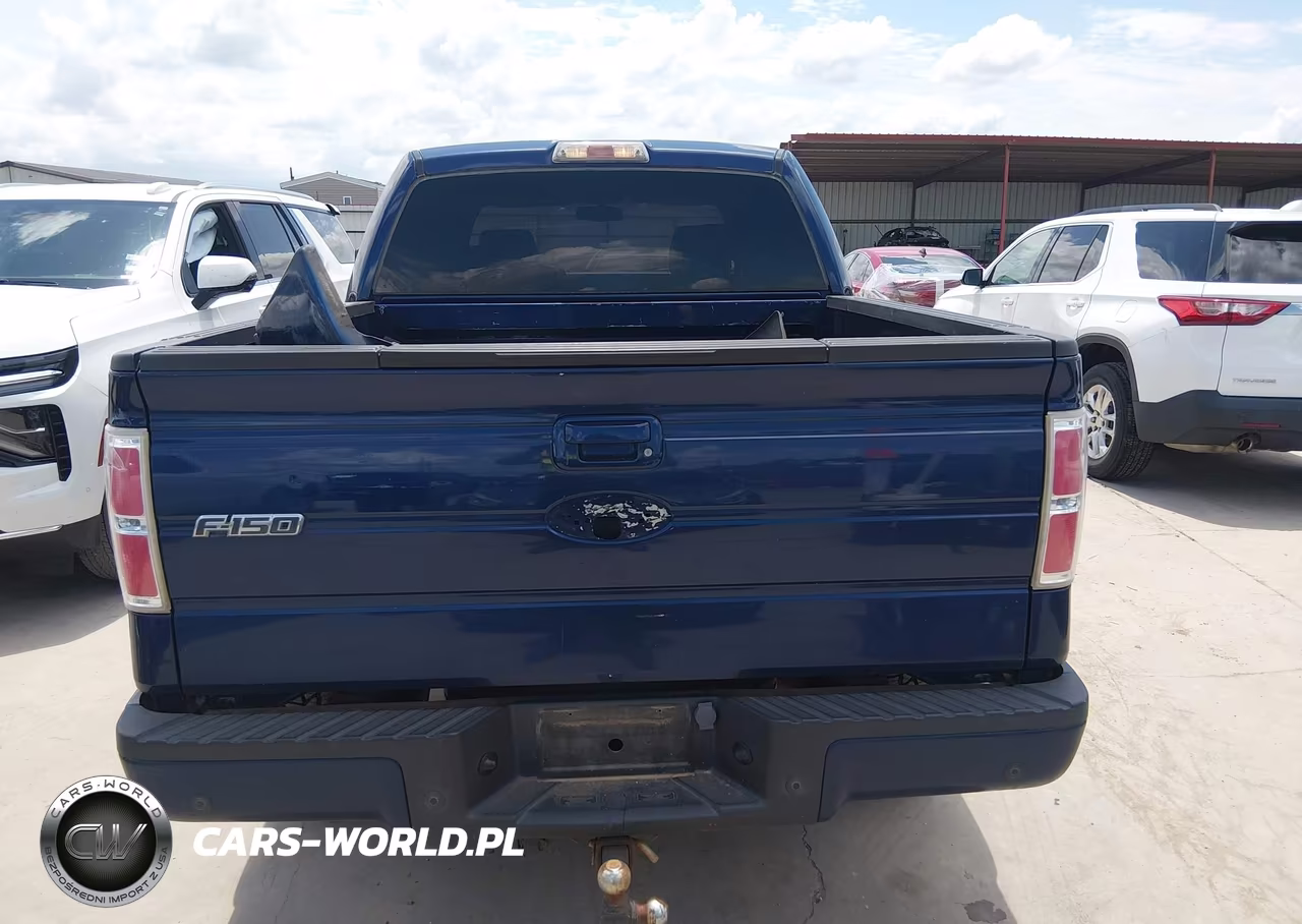 2009 Ford F-150 Fx4-King Ranch-Lariat-Platinum-Xl-Xlt VIN:1FTPW14V09FA59018 - 16