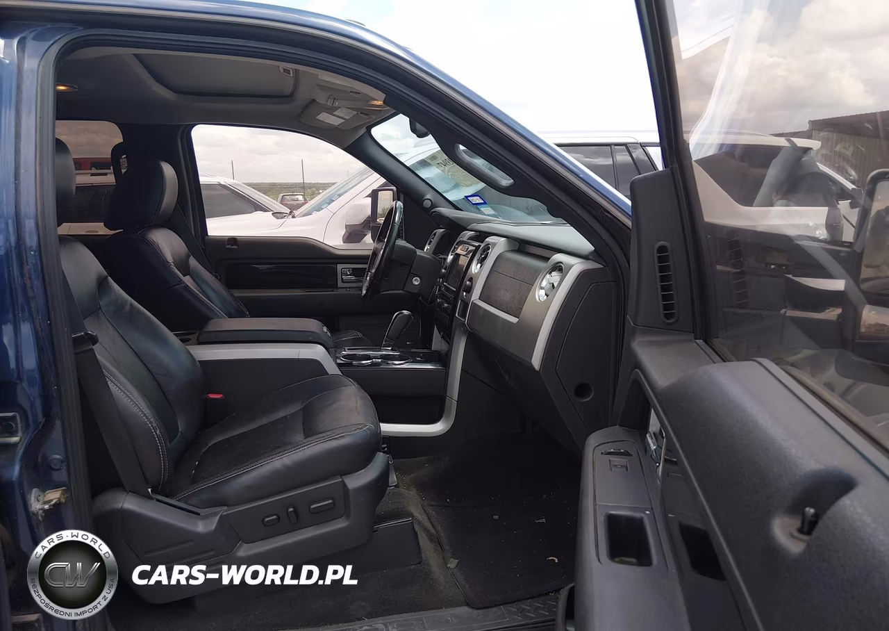 2009 Ford F-150 Fx4-King Ranch-Lariat-Platinum-Xl-Xlt VIN:1FTPW14V09FA59018 - 5