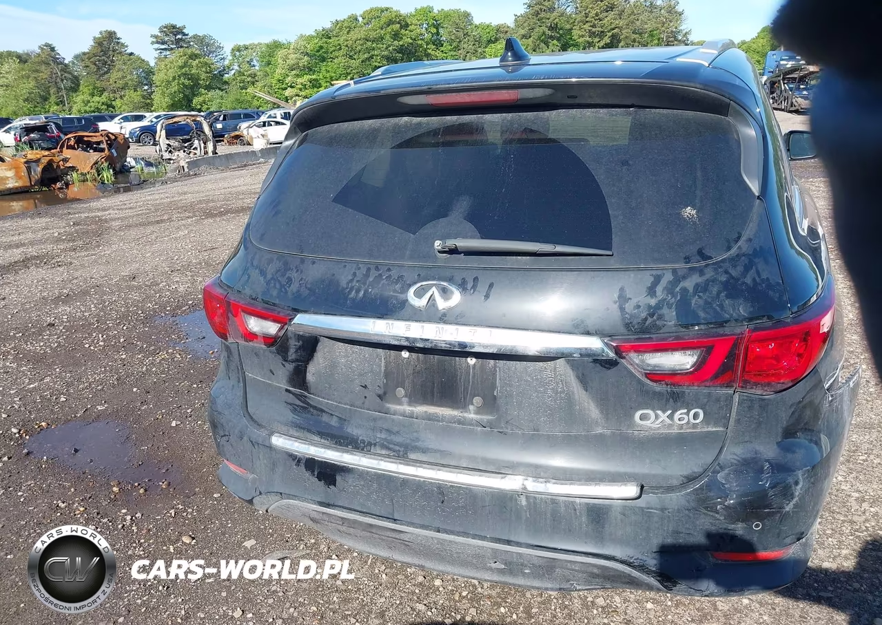 2019 Infiniti Qx60 Luxe VIN:5N1DL0MM5KC505308 - 16