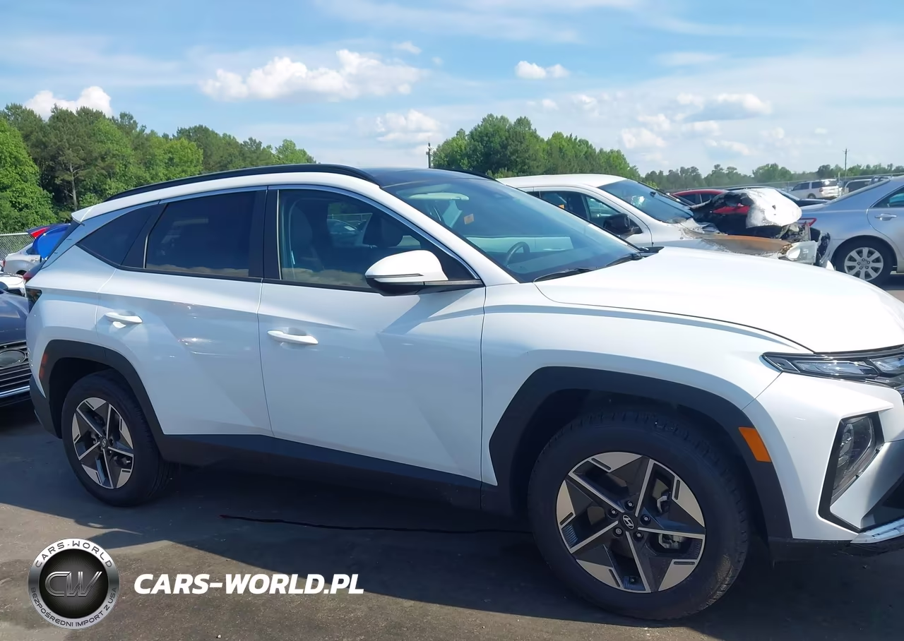 2025 Hyundai Tucson Hybrid Sel Convenience VIN:KM8JCDD17SU295191 - 13