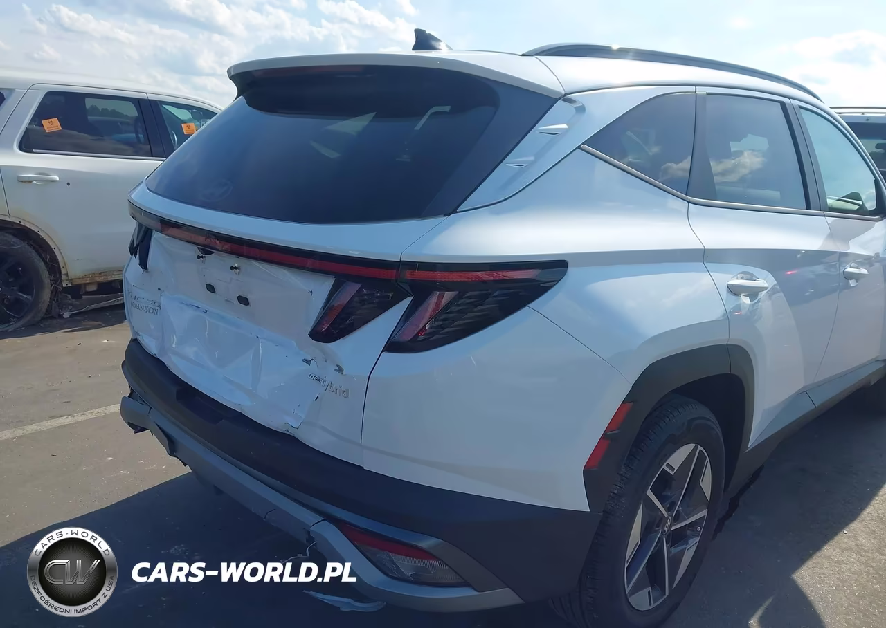 2025 Hyundai Tucson Hybrid Sel Convenience VIN:KM8JCDD17SU295191 - 17