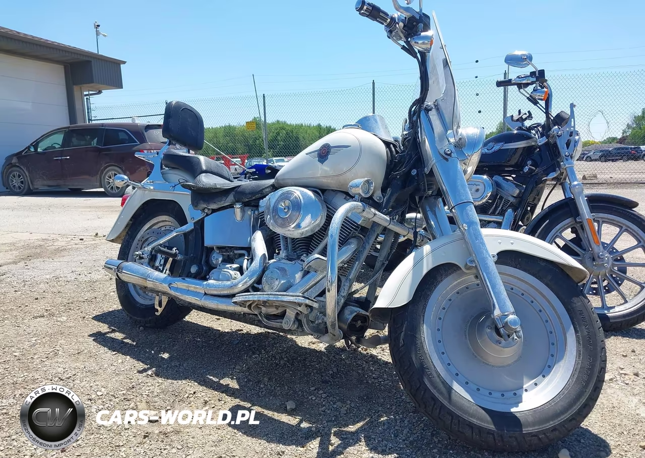 2002 Harley-Davidson Flstfi