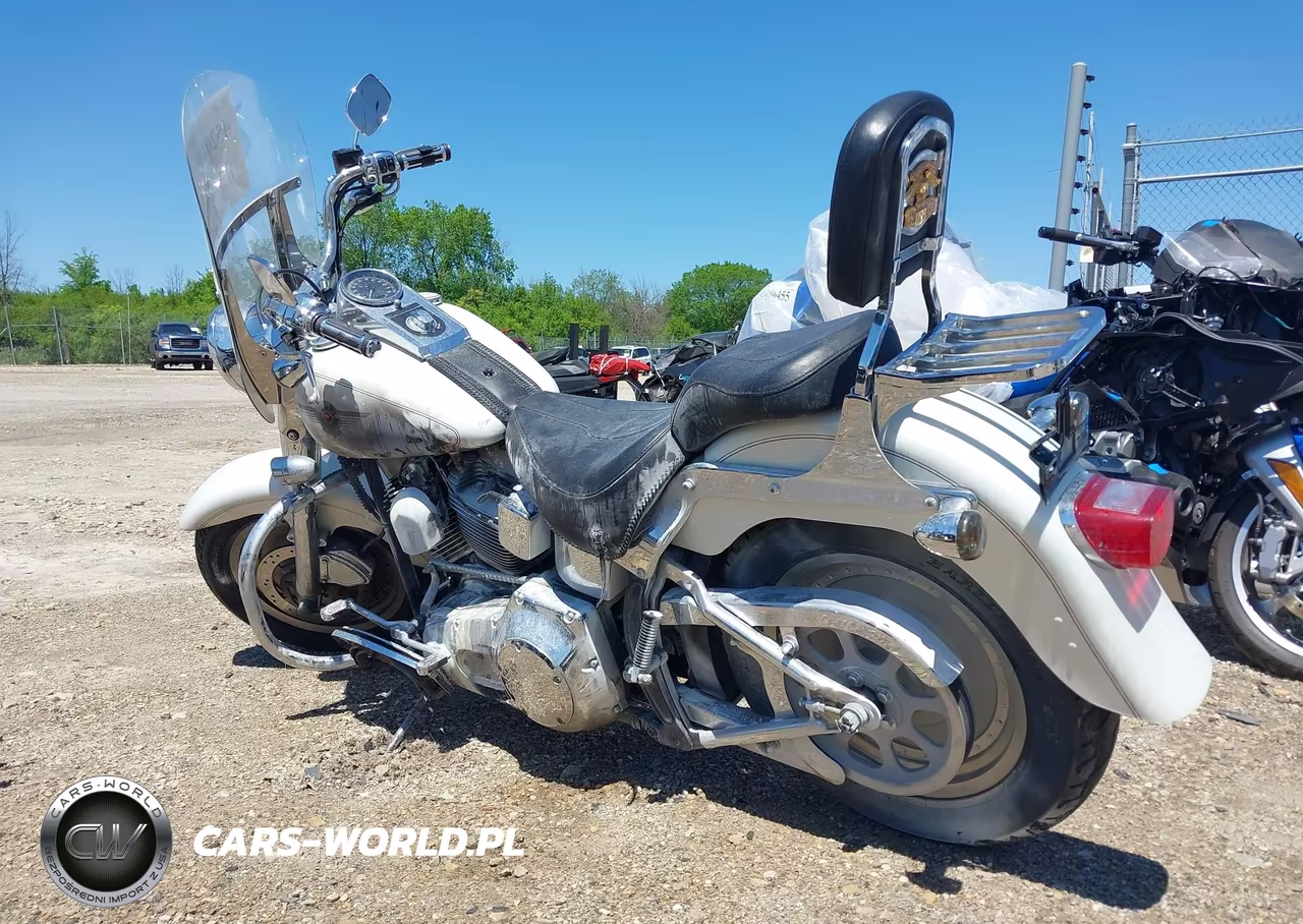 2002 Harley-Davidson Flstfi VIN:1HD1BXB162Y050594 - 3