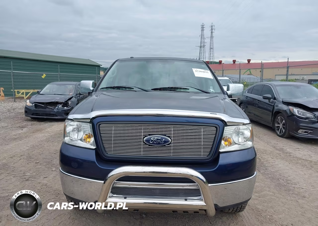 2006 Ford F-150 Fx4-Lariat-Xl-Xlt VIN:1FTPX14596NB00843 - 12