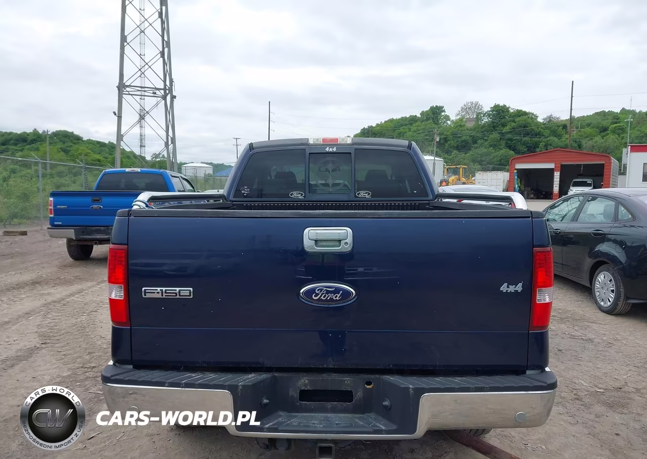 2006 Ford F-150 Fx4-Lariat-Xl-Xlt VIN:1FTPX14596NB00843 - 13