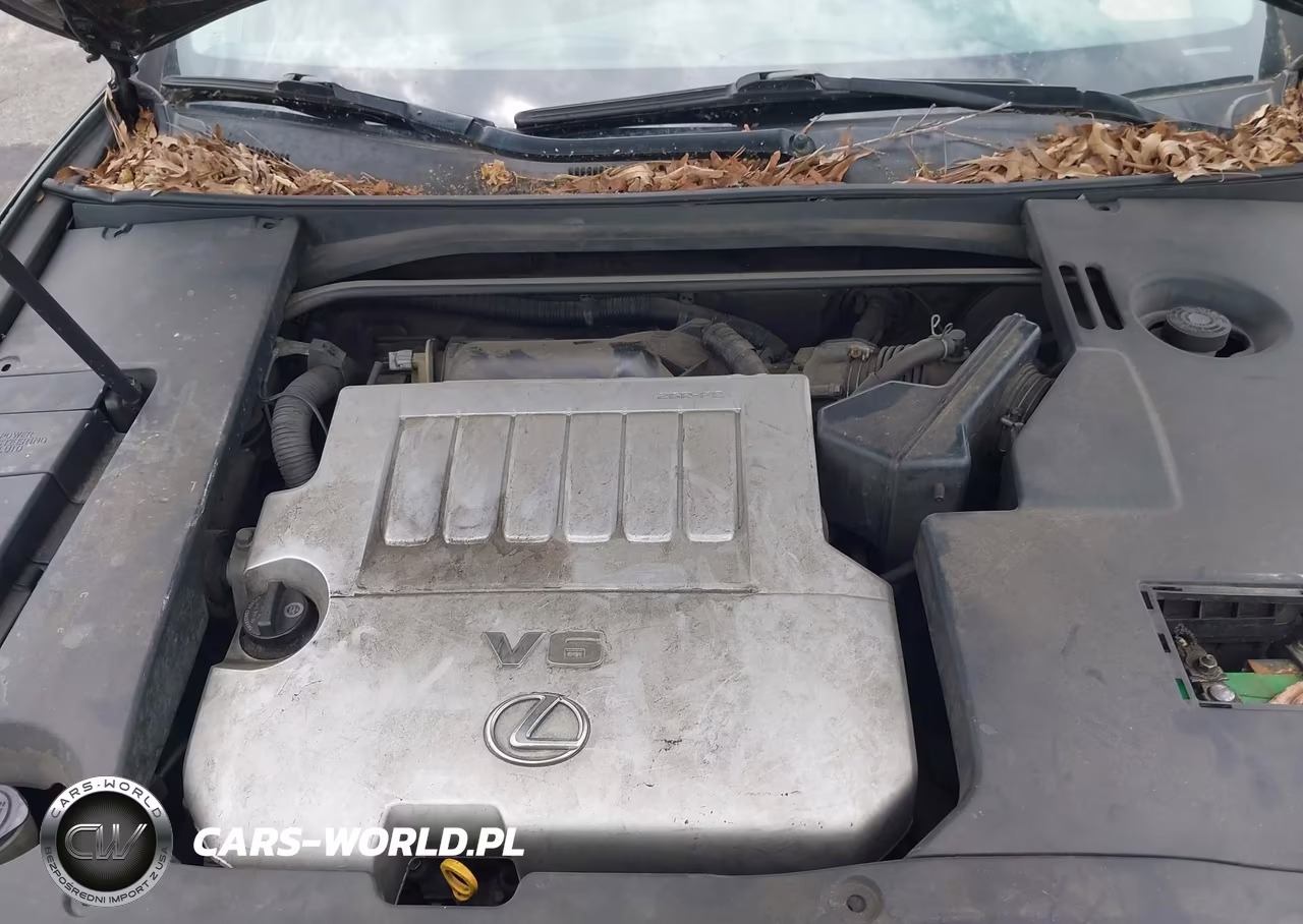 2008 Lexus Es 350 VIN:JTHBJ46G982172060 - 10