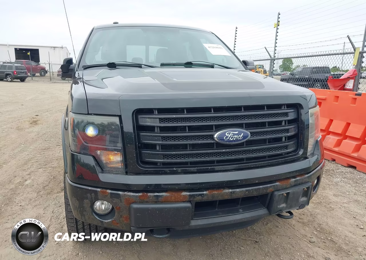 2014 Ford F-150 Fx4 VIN:1FTFW1ET2EFA91259 - 12