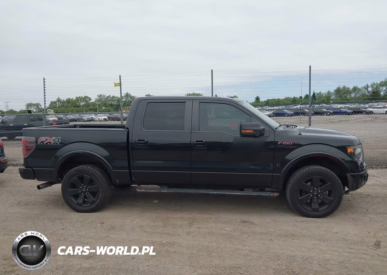 2014 Ford F-150 Fx4 VIN:1FTFW1ET2EFA91259 - 13