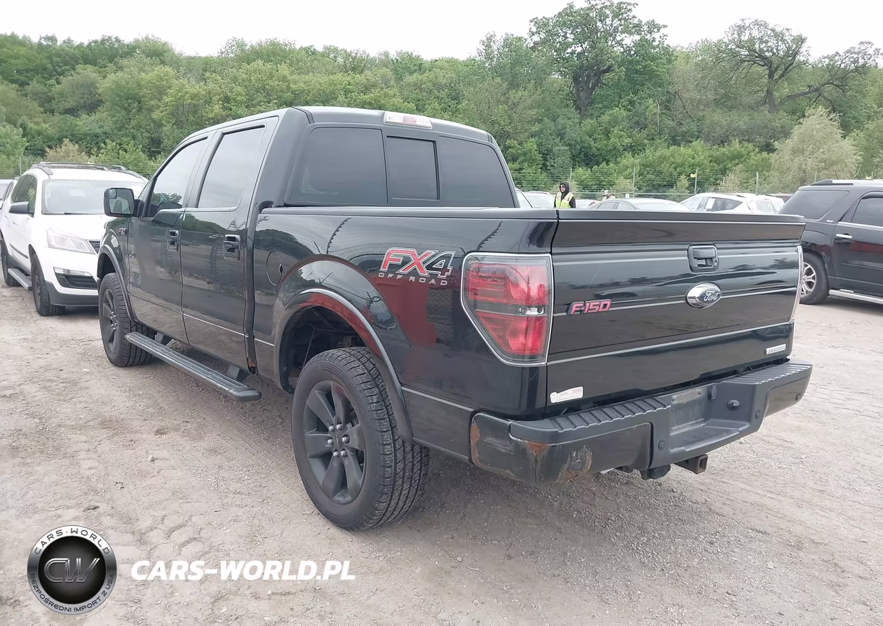2014 Ford F-150 Fx4 VIN:1FTFW1ET2EFA91259 - 3
