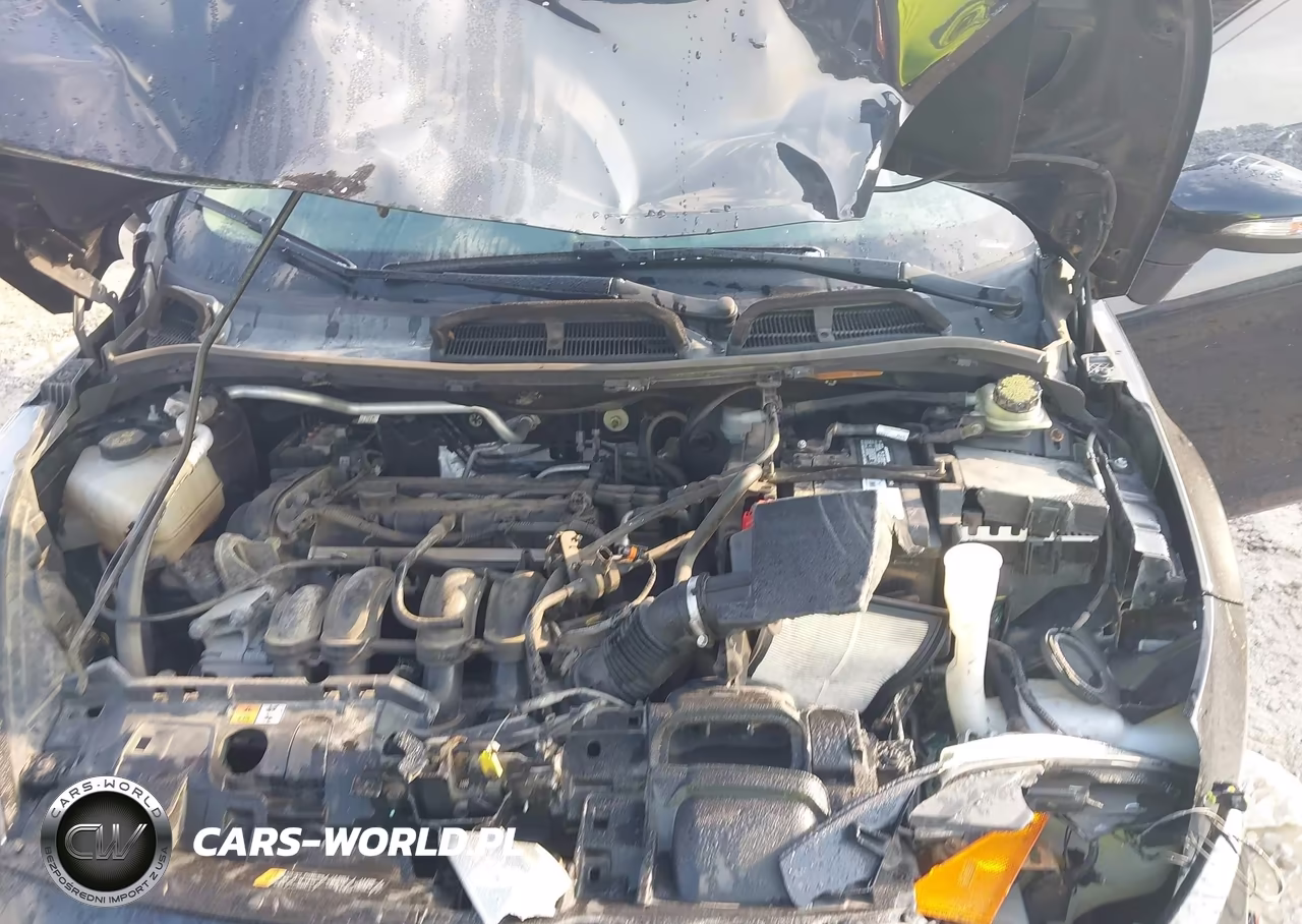 2014 Ford Fiesta Se VIN:3FADP4BJ9EM165758 - 10