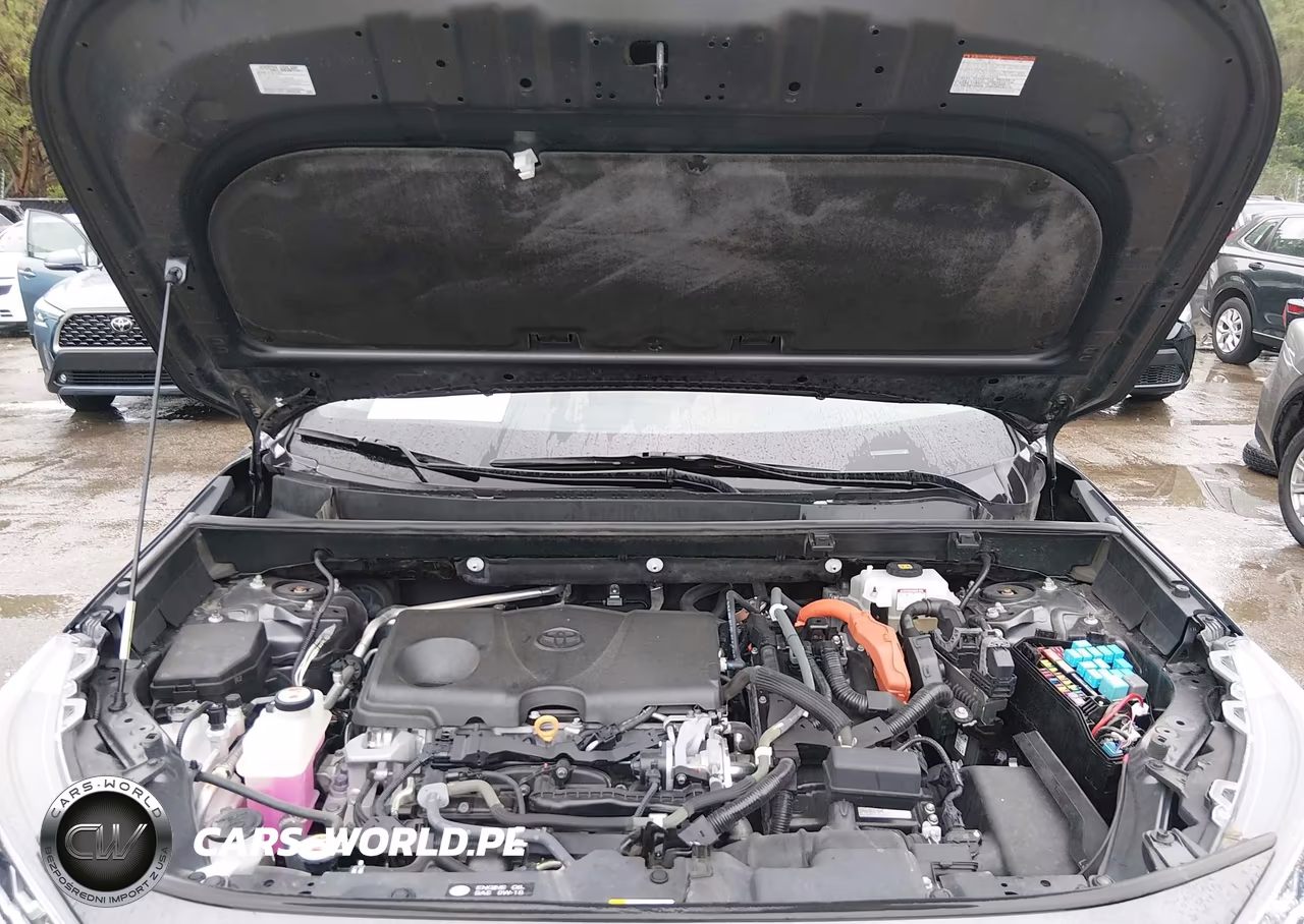 2019 Toyota Rav4 Hybrid Xle VIN:2T3RWRFV2KW016678 - 10