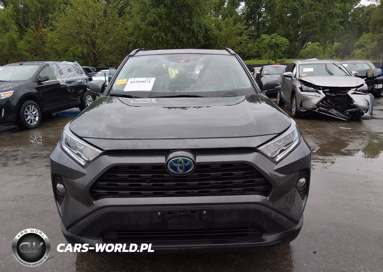 2019 Toyota Rav4 Hybrid Xle VIN:2T3RWRFV2KW016678 - 12