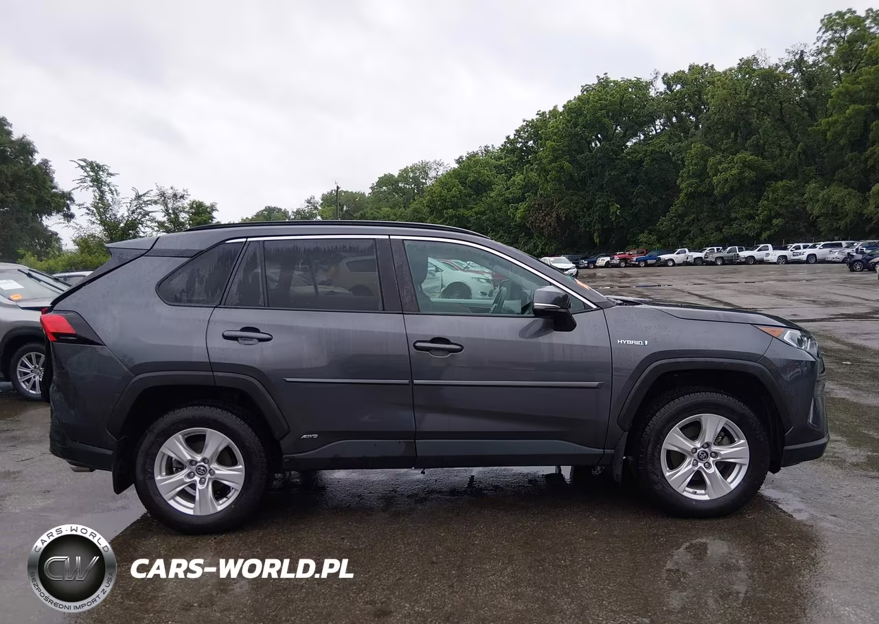 2019 Toyota Rav4 Hybrid Xle VIN:2T3RWRFV2KW016678 - 13