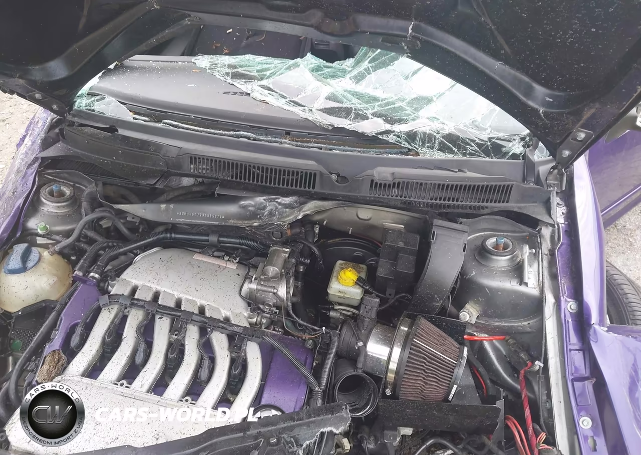 2003 Volkswagen Gti Vr6 VIN:9BWDH61J934055974 - 10