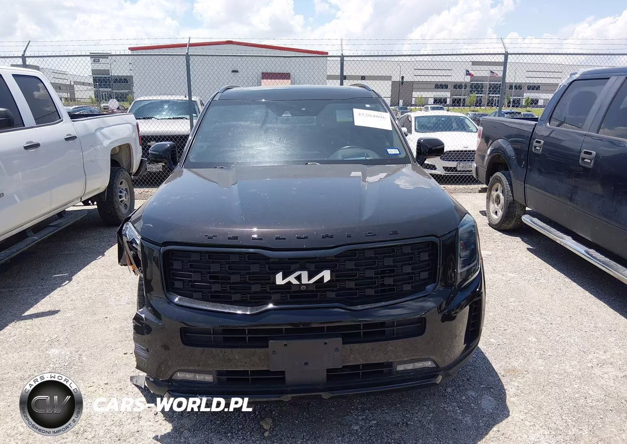 2022 Kia Telluride Sx VIN:5XYP5DHC2NG201843 - 12