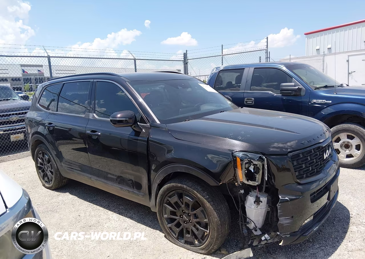 2022 Kia Telluride Sx VIN:5XYP5DHC2NG201843 - 13
