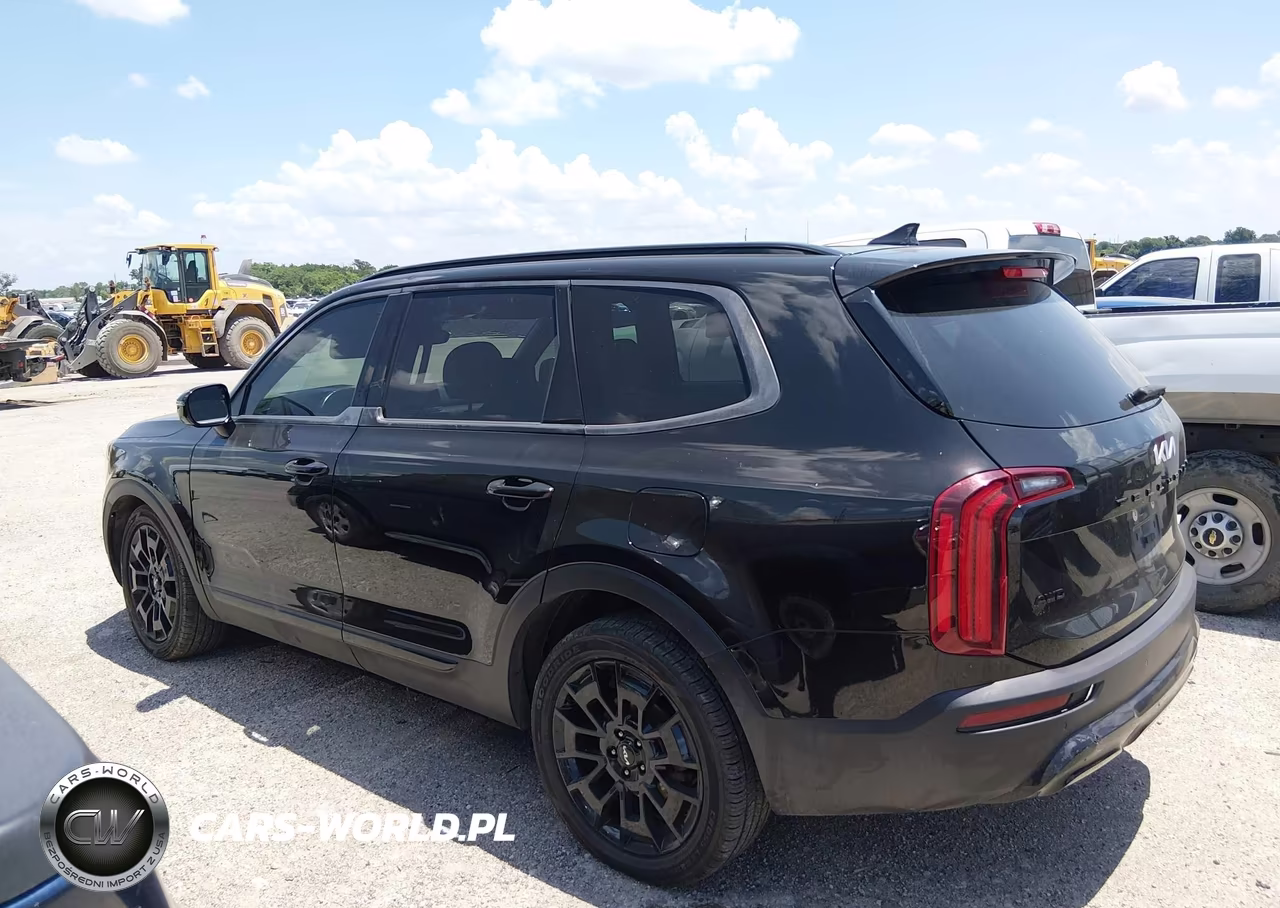2022 Kia Telluride Sx VIN:5XYP5DHC2NG201843 - 14