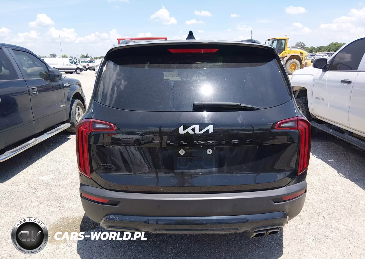 2022 Kia Telluride Sx VIN:5XYP5DHC2NG201843 - 16