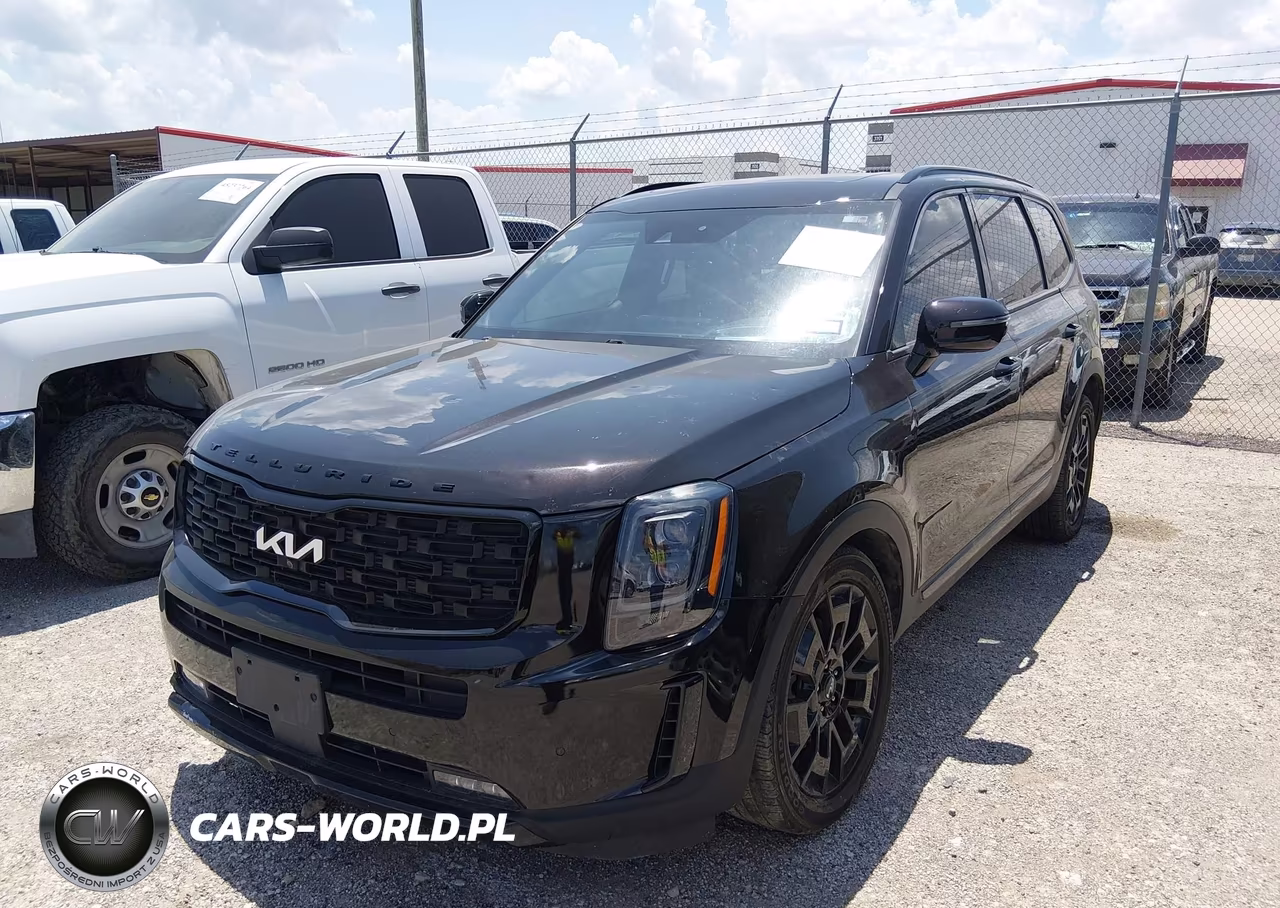 2022 Kia Telluride Sx VIN:5XYP5DHC2NG201843 - 2