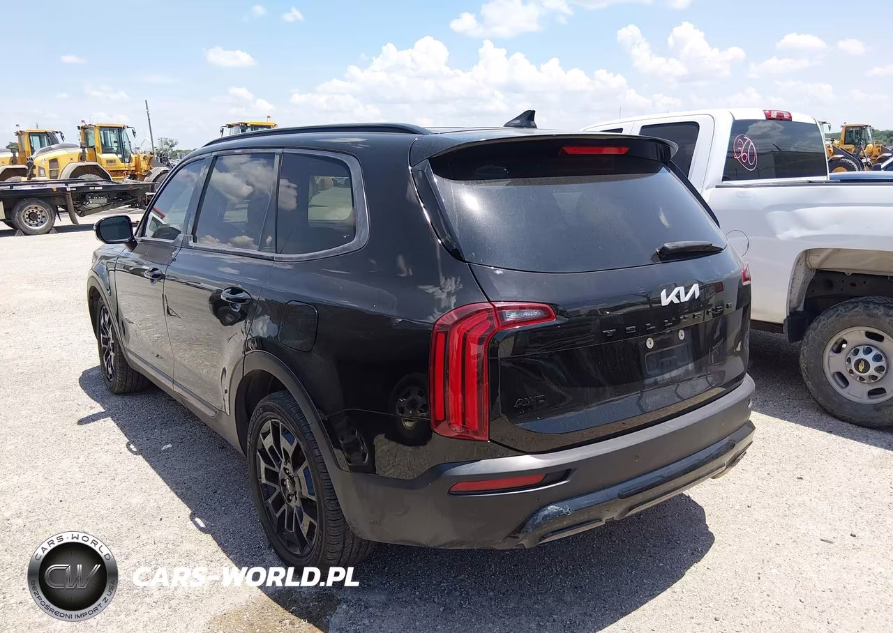 2022 Kia Telluride Sx VIN:5XYP5DHC2NG201843 - 3