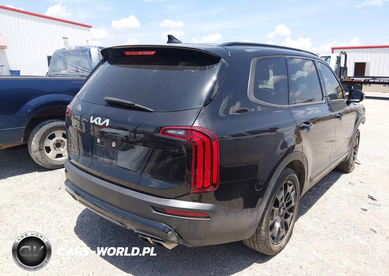 2022 Kia Telluride Sx VIN:5XYP5DHC2NG201843 - 4