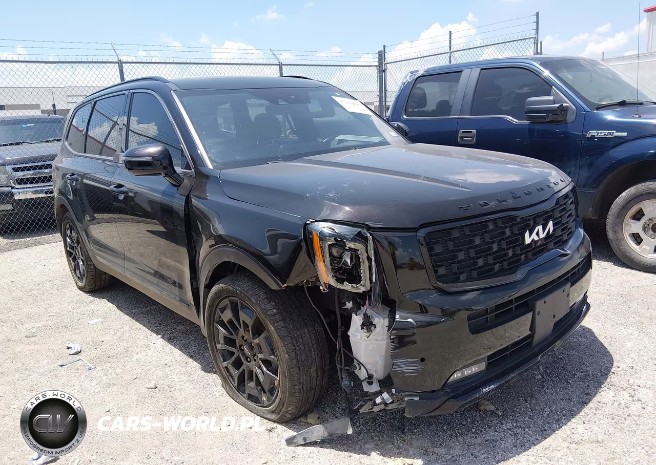2022 Kia Telluride Sx VIN:5XYP5DHC2NG201843 - 6